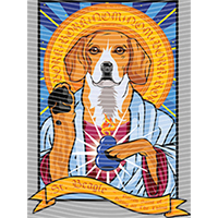 Animal Integration-DW 1080